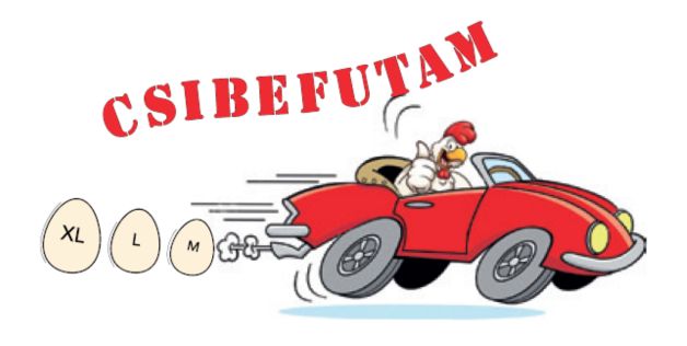 Csibefutam FRISS és FERTŐTLENÍTETT TOJÁS